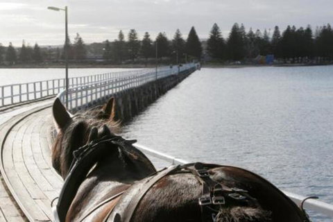 The Block Townhouses - Accommodation Mount Tamborine 5