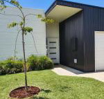 Wayamba - Accommodation Mount Tamborine