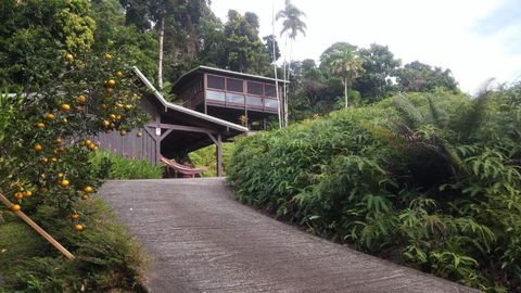 Daintree Holiday Homes La Vista - Accommodation Mount Tamborine 4