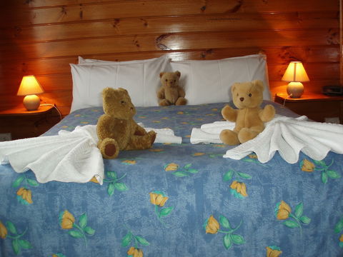 Boat Harbour Garden Cottages - Accommodation Mount Tamborine 5