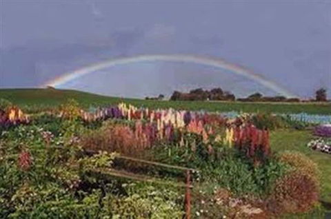 Boat Harbour Garden Cottages - Accommodation Mount Tamborine 0
