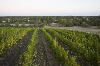 Barristers Block Vigneron Villa - Accommodation Mount Tamborine 3