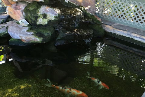 Quality Inn The Willows - Accommodation Mount Tamborine 3