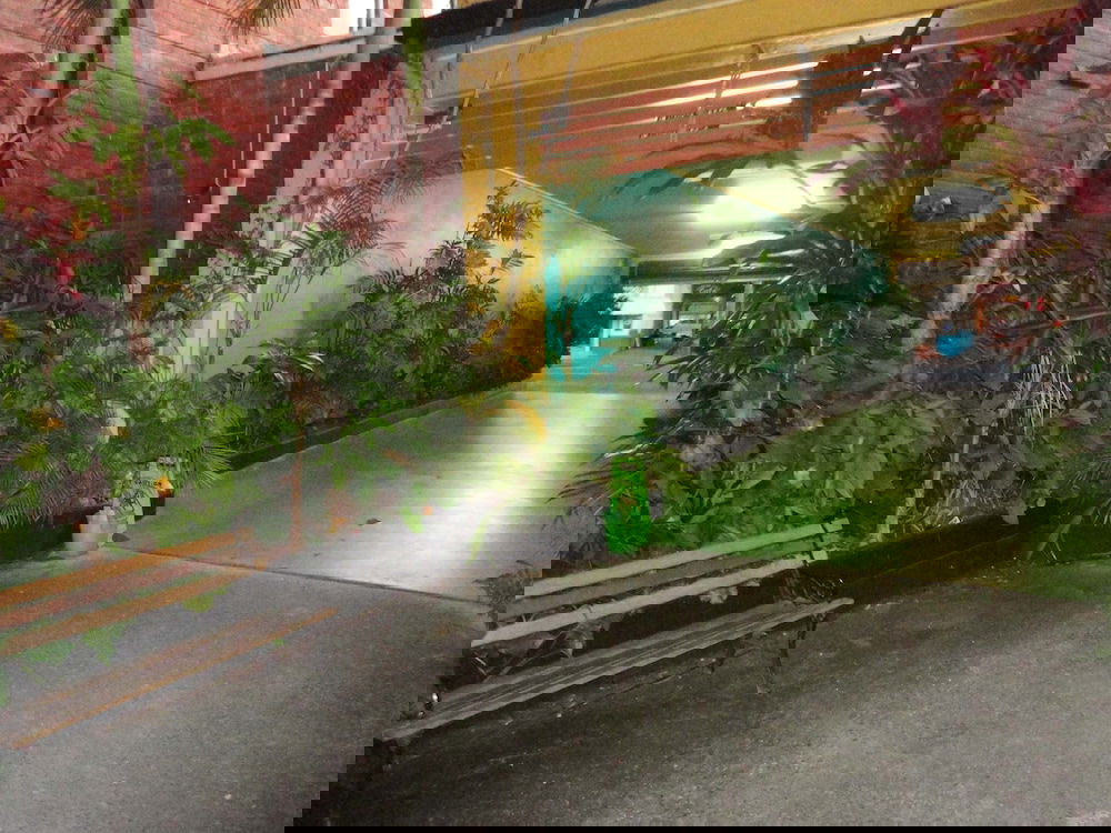 Farrants Hill NSW Accommodation Mount Tamborine