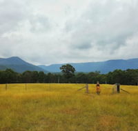 Maya Sanctuary - Accommodation Mount Tamborine