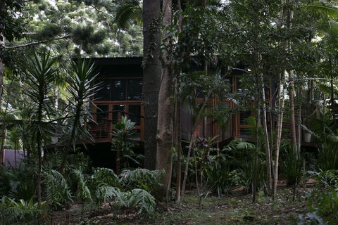 Azabu Boutique Accommodation Byron Bay - Accommodation Mount Tamborine 3