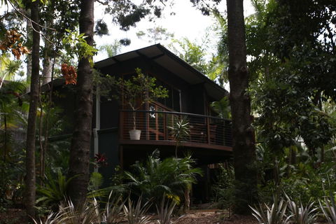Azabu Boutique Accommodation Byron Bay - Accommodation Mount Tamborine 6