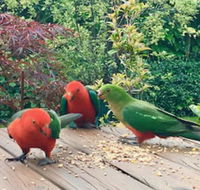 Crimson Villa - Accommodation Mount Tamborine