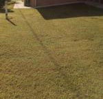 GOLDEN LACE B  B - Accommodation Mount Tamborine