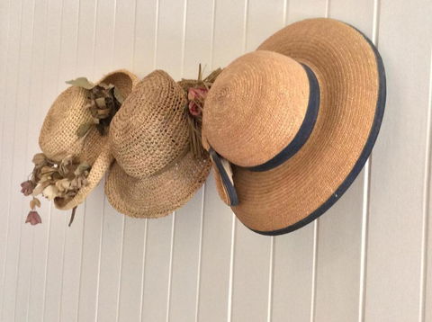 Windrush BnB Comboyne Australia - Accommodation Mount Tamborine 1