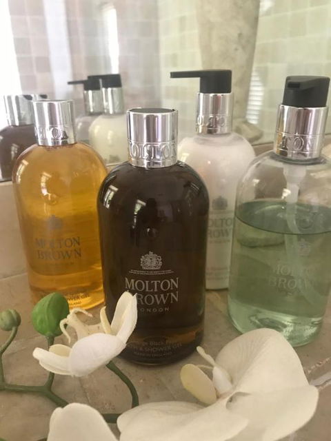 Windrush BnB Comboyne Australia - Accommodation Mount Tamborine 6