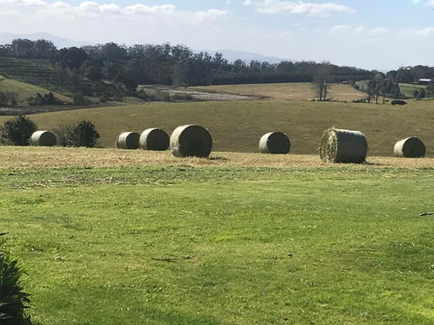 Windrush BnB Comboyne Australia - Accommodation Mount Tamborine 3