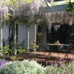 Windrush BnB Comboyne Australia - Accommodation Mount Tamborine 0