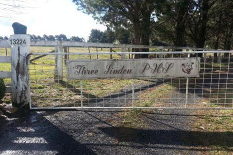 Three Linden - Accommodation Mount Tamborine 3