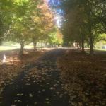 A Peaceful Cabin In The Country - Accommodation Mount Tamborine 0