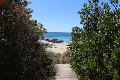 Sisters Beach Paradise - Accommodation Mount Tamborine 2