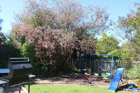 Sisters Beach Paradise - Accommodation Mount Tamborine 3