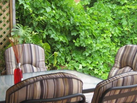 Amalie Cottage Waikerie Unit 1 - Accommodation Mount Tamborine 6