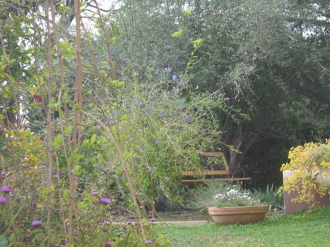 Amalie Cottage Waikerie Unit 1 - Accommodation Mount Tamborine 5