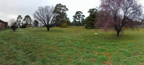 Young Budget Accommodation - Accommodation Mount Tamborine 1