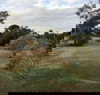 Young Budget Accommodation - Accommodation Mount Tamborine