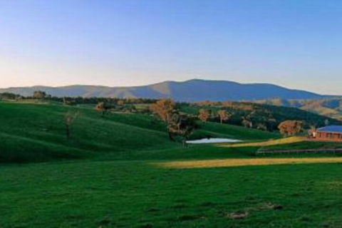 Country Budget - Accommodation Mount Tamborine 2