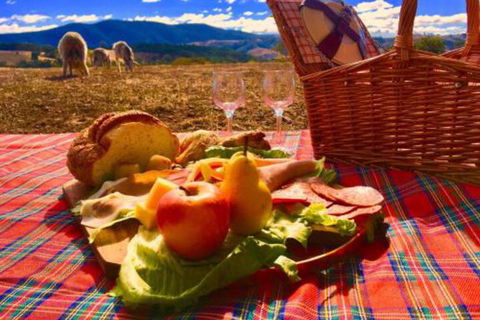 Country Budget - Accommodation Mount Tamborine 3