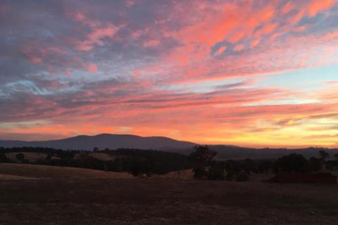 Country Budget - Accommodation Mount Tamborine 6