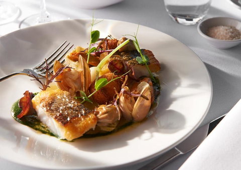 Port Phillip Estate - Accommodation Mount Tamborine 3