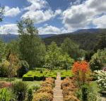 Delderfield Cottages - Accommodation Mount Tamborine