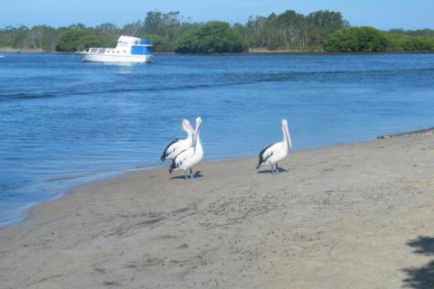 Views To Yaccaba Headland - Accommodation Mount Tamborine 7