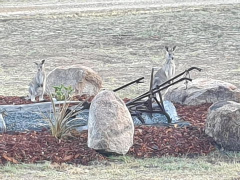R & R On The Ravine - Accommodation Mount Tamborine 5