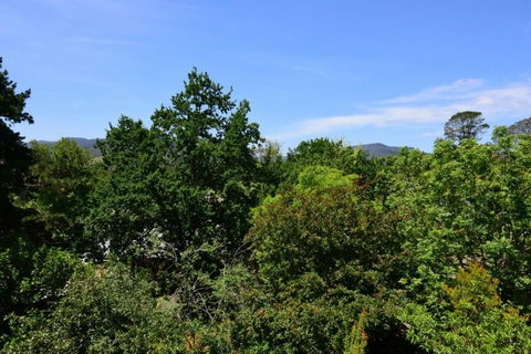 Cloudsong Chalet 3 Close To The Village Centre! - Accommodation Mount Tamborine 6