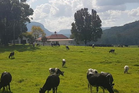 Glenmurray Country Farm Stay! - Accommodation Mount Tamborine 0