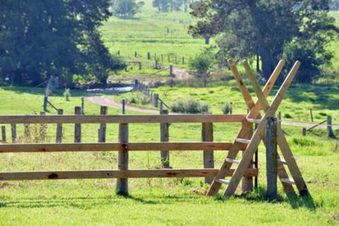 Glenmurray Country Farm Stay! - Accommodation Mount Tamborine 4