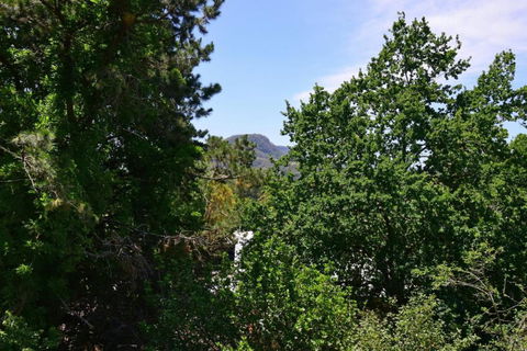 Cloudsong Chalet 4 Close To The Village Centre! - Accommodation Mount Tamborine 3