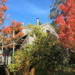 Cloudsong Chalet 4 Close To The Village Centre! - Accommodation Mount Tamborine 0