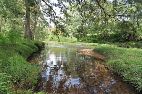 Love Shack 1 Bedroom Cosy Cottage! - Accommodation Mount Tamborine 2