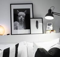105flora Cozy Stay Prahran Lively Neighbour - Accommodation Mount Tamborine