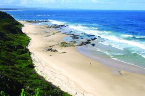 Pacific Studio Nambucca Heads - Accommodation Mount Tamborine 4