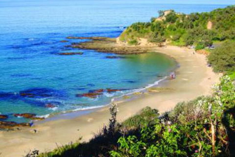 Pacific Studio Nambucca Heads - Accommodation Mount Tamborine 5