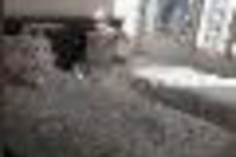 Central Coast Travellers Home - Accommodation Mount Tamborine 2