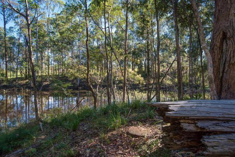 Oakey Creek Private Retreat - Accommodation Mount Tamborine 2