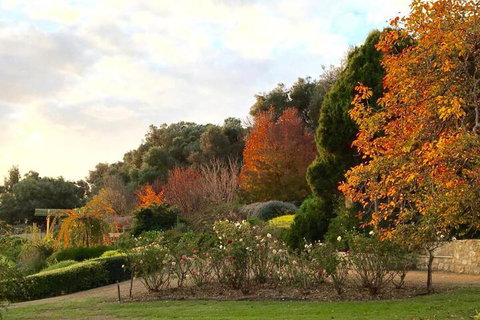 The Garden Cottage At The Olives - Accommodation Mount Tamborine 2
