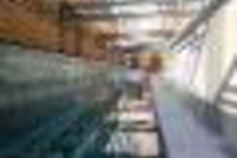 Amazing Lake View Apartment AtAlber Park  - Accommodation Mount Tamborine 6