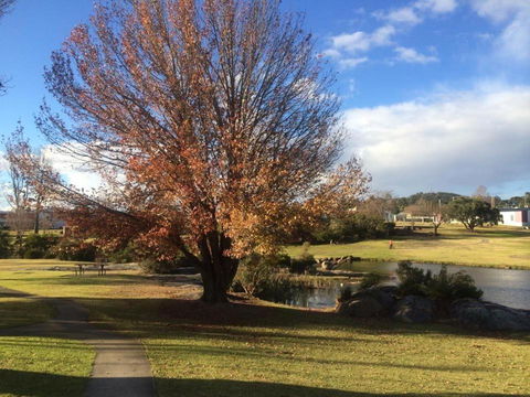 Dillons Cottage - Accommodation Mount Tamborine 6