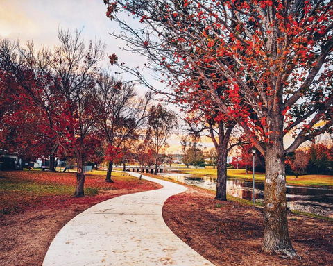 Dillons Cottage - Accommodation Mount Tamborine 3