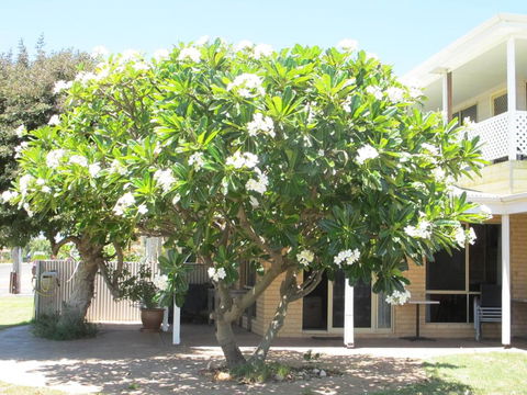 Kalbarri Riverfront Unit - Accommodation Mount Tamborine 3