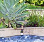 Fingal Escape - Accommodation Mount Tamborine