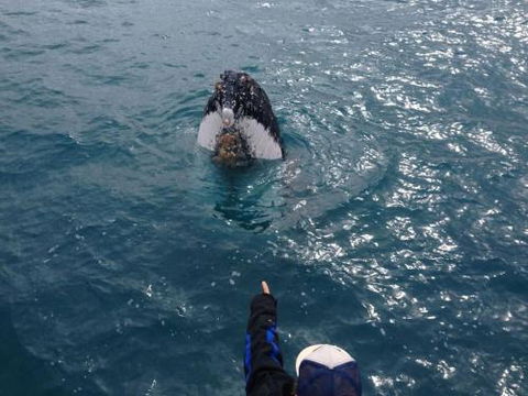 Number 72 Kalbarri Beach Resort - Accommodation Mount Tamborine 0